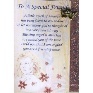 Heaven Scent - Special Friend (6 Pcs) HS19
